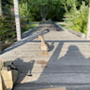 Meet your Posher, Em